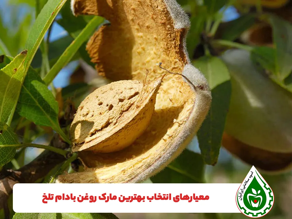 معرفی بهترین مارک روغن بادام تلخ - اسوه سلامت ایرانیان