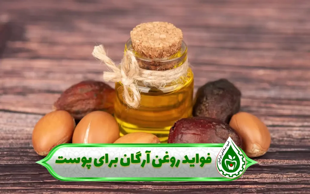 روغن آرگان برای چی خوبه؟ - اسوه سلامت ایرانیان