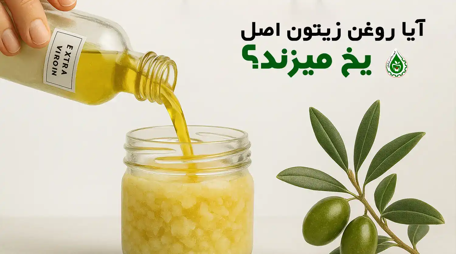 آیا روغن زیتون اصل یخ می زند؟