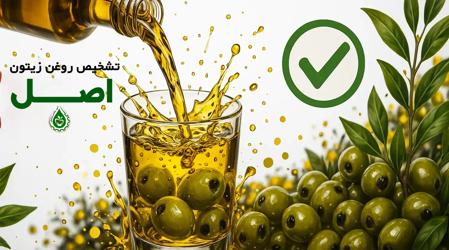 تشخیص روغن زیتون اصل