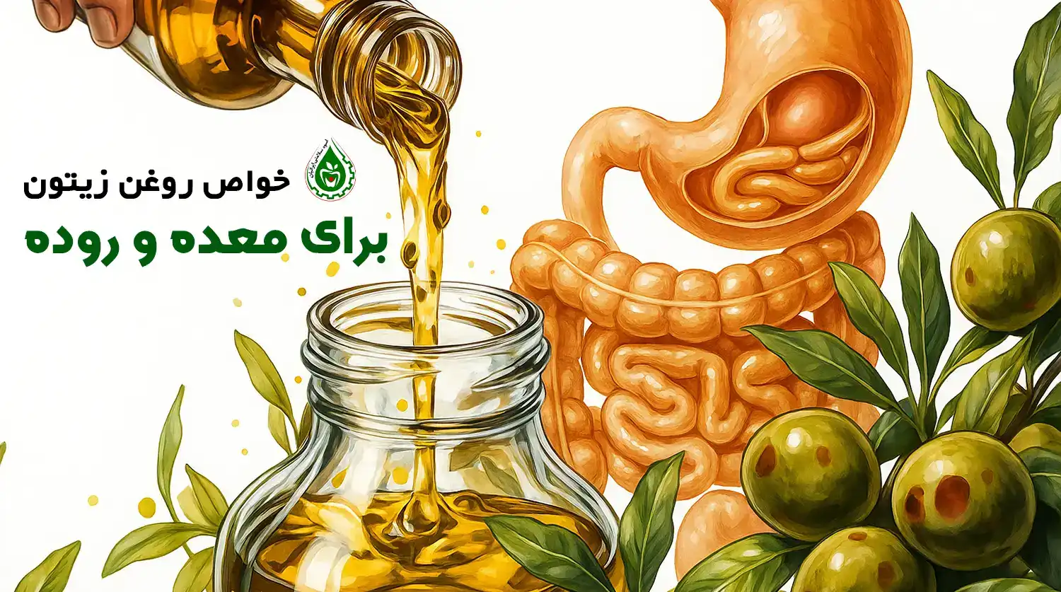 خواص روغن زیتون برای معده و روده
