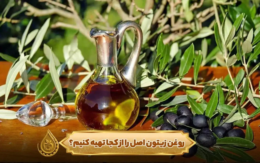 روغن زیتون اصل را از کجا تهیه کنیم؟
