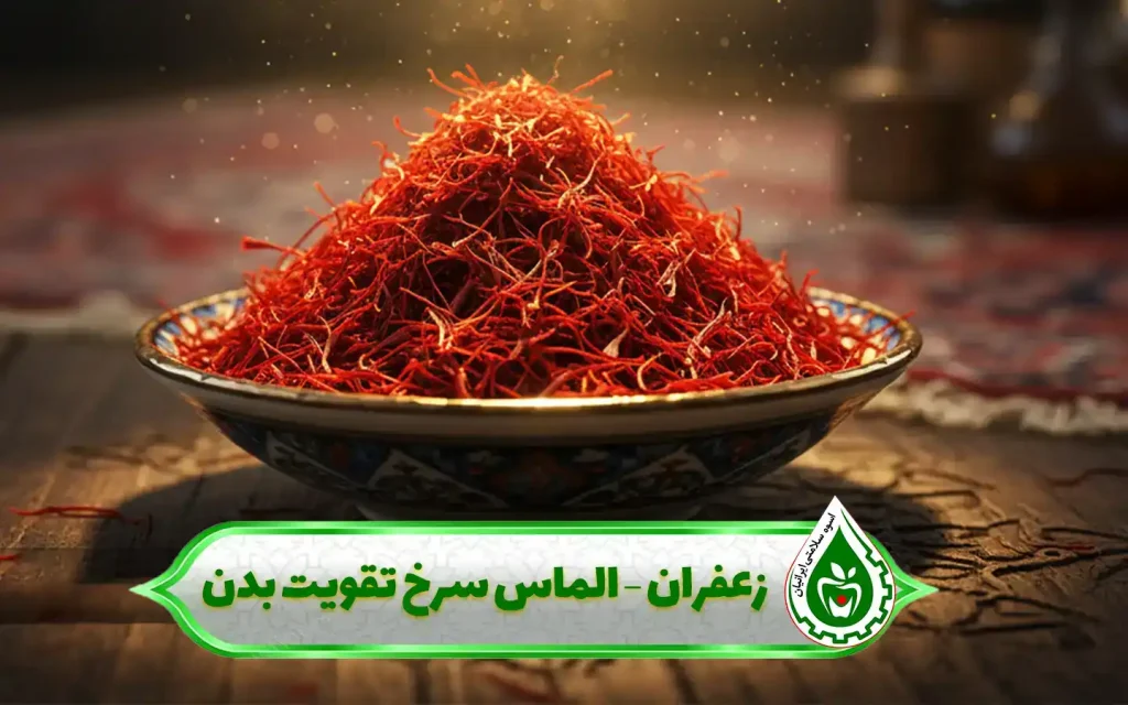 راز گیاهان ایرانی برای افزایش انرژی مردانه