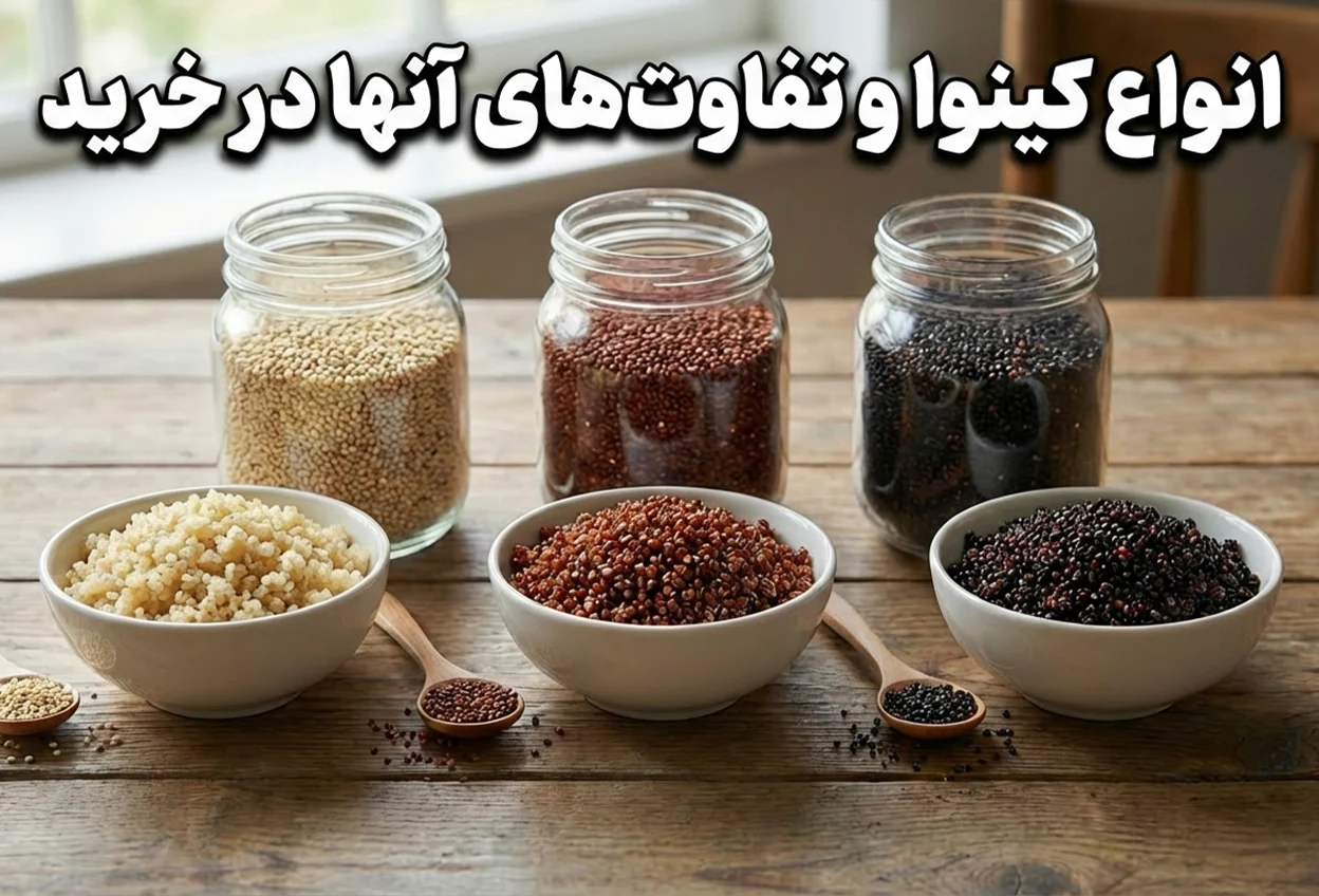 تصویر انواع کینوا و تفاوت‌های آنها در خرید