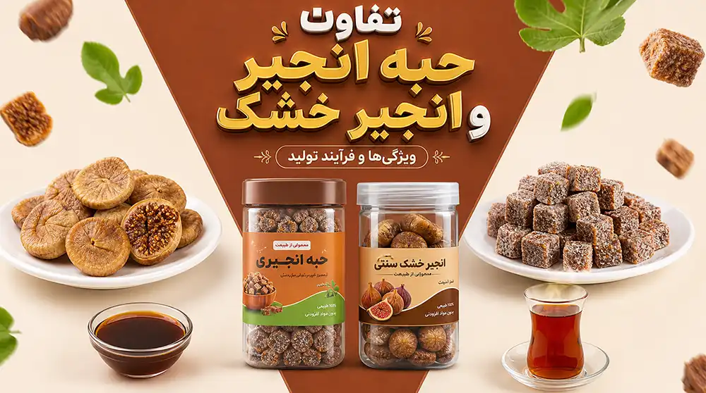 حبه انجیری
